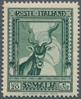 Italienisch-Somaliland: 1937, Defintives "Pictorials", 20l. Green, Rare Perf. 14, Fresh Colour, Well - Somalië