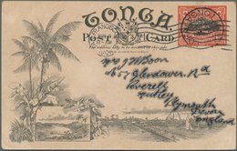 Tonga: 1908, Pictorial Stat. Postcard 1d. Native Tree Used From NUKUALOFA To England With Transitmar - Tonga (...-1970)