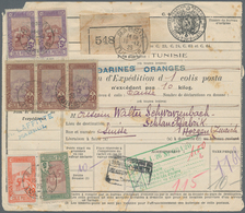 Tunesien - Paketmarken: 1925, 11.65fr. Rate On Parcel Despatch Form From "NABEUL 19.12.25" To Horgen - Tunisia