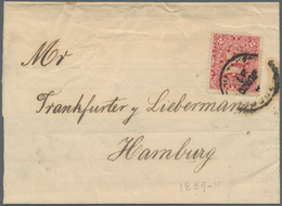 Uruguay: 1891. News-Band Wrapper Addressed To Hamburg Bearing Yvert 76, 2c Rose Tied By Montevideo D - Uruguay