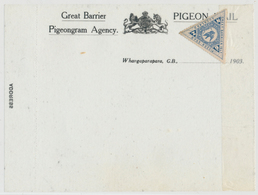 Brieftaubenpost: 1903, NEUSEELAND: PIGEONGRAM Der Great Barrier Pigeongram Agency F. Strecke Whangap - Duiven En Duifachtigen