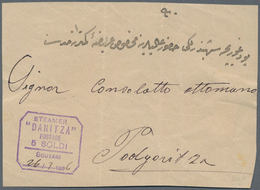 Schiffspost Alle Welt: 1896, Albania/Montenegro, Violet Handstamp STEAMER DANITZA / POSTAGE 5 SOLDI - Sonstige & Ohne Zuordnung