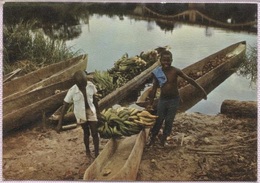 Delcampe - CPM - A MBALMAYO Sur Le NYONG - Edition I.M.A. - Kamerun