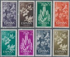 Spanisch-Sahara: 1962, Plants Complete Set Of Eight (Neurada Procumbens, Anabasis Articulata And Eup - Sahara Spagnolo