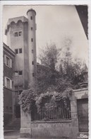 Delcampe - 38 BOURGOIN La Tour Du Château - Bourgoin