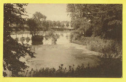Delcampe - * Gaasbeek - Gaesbeek (Lennik - Vlaams Brabant) * (Nels, Nr 29) Kasteel Van Gaasbeek, Chateau De Gaesbeek, étang, Vijver - Lennik