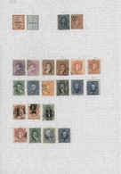 Argentinien: 1860/1990 (ca.), Used And Mint Collection/accumulation On Leaves/in Stockbook, With Ple - Other & Unclassified