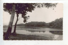 Delcampe - Mimizan (landes) Vue Sur Le Lac (cp Vierge N°13/413 Chatagneau) - Mimizan