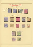 China - Lokalausgaben / Local Post: Hankow, 1893/96, Mint And Used Collection On Pages Inc. Varietie - Other & Unclassified