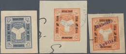 China - Shanghai: 1890/93, Crest / Flag / Bisects And Dues, Unused Mounted Mint Or Used, On Stockcar - Other & Unclassified