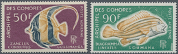 Komoren: 1968, Fishes Airmail Stamps 50fr. ‚Zanclus Cornutus‘ And 90fr. ‚Gaterin Lineatus‘ In A Lot - Autres & Non Classés