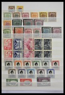 Malaiische Staaten: 1869-1960: Well Filled, MNH, Mint Hinged And Used Collection Brunei, North Borne - Federated Malay States