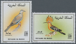 Marokko: 1990, Birds Set Of Two 2.00dh. ‚Streptopelia Turtur‘ And 3.00dh. ‚Upupa Epops‘ In A Lot Wit - Ungebraucht