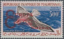 Mauretanien: 1962, Bird Definitive 500fr. With Prepared But UNISSUED Red Opt. ‚EUROPA / CECA / MIFER - Mauritania (1960-...)