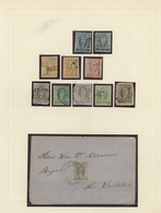 Mexiko: 1856/1900 (ca.), Used And Mint Collection On Album Pages, Comprising A Nice Range Of Hidalgo - Mexique