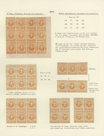 Venezuela: 1863/1865, Specialised Collection Of The Eagle Issue (Michel Nos. 7/11, Scott Nos. 10/14) - Venezuela