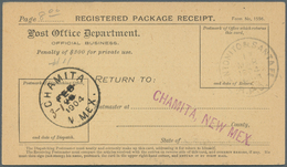 Vereinigte Staaten Von Amerika: 1902-1904, Registered Package Receipt Cards With Good New Mexico Can - Covers & Documents