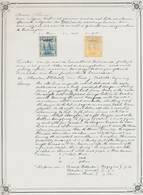 Alle Welt: 1870/1923 Appr.: Beautiful Collection Of Non-offical Issues, Private Overprints And More - Sammlungen (ohne Album)