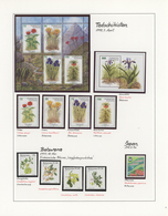 Thematik: Flora, Botanik / Flora, Botany, Bloom: 1953/2005, Large Collection FLORA In 24 SAFE Albums - Other & Unclassified