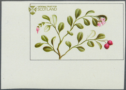 Thematik: Flora, Botanik / Flora, Botany, Bloom: 1970/1990 (ca.), Assortment Of 109 Positions Incl. - Sonstige & Ohne Zuordnung