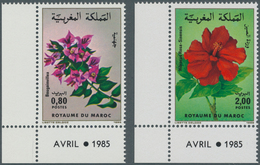 Thematik: Flora, Botanik / Flora, Botany, Bloom: 1985, MOROCCO: Flowers Set Of Two 0.80dh. ‚Bougainv - Andere & Zonder Classificatie