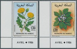 Thematik: Flora, Botanik / Flora, Botany, Bloom: 1986, MOROCCO: Flowers Set Of Two 1.00dh. ‚Warionia - Sonstige & Ohne Zuordnung