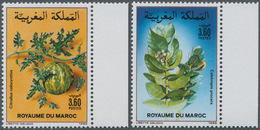 Thematik: Flora, Botanik / Flora, Botany, Bloom: 1988, MOROCCO: Flowers Complete Set Of Two 3.60dh. - Other & Unclassified