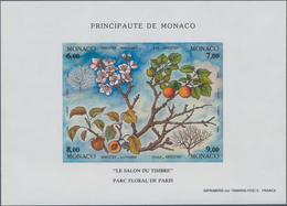Thematik: Flora-Obst + Früchte / Flora-fruits: 1994, Monaco, The Four Seasons(Fruits), Souvenir Shee - Obst & Früchte