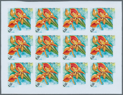 Thematik: Flora-Orchideen / Flora-orchids: 1972, Burundi. Progressive Proofs Set Of Sheets For The O - Orchidées