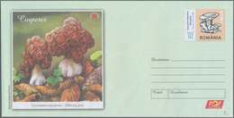 Thematik: Pilze / Mushrooms: 1980/1990 (ca.), Holding Of Covers And Loose Stamps. Realistic Retail P - Mushrooms