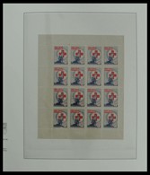 Thematik: Rotes Kreuz / Red Cross: Beautiful Lot Red Cross Cinderellas In Album. Lot Contains Very M - Red Cross