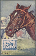 Thematik: Sport-Pferdesport / Sport Equestrian Sports: 19896/1996 Ca., Alle Welt, PFERDESPORT - Samm - Paardensport