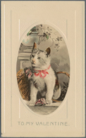 Thematik: Tiere, Fauna / Animals, Fauna: From 1900 (approx.), Lot Of About 339 Items, With Covers, P - Andere & Zonder Classificatie