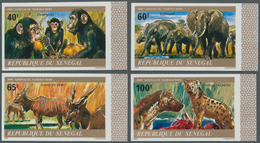 Thematik: Tiere, Fauna / Animals, Fauna: 1980, SENEGAL: Animals In The Niokolo-Koba National Park Co - Sonstige & Ohne Zuordnung