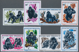 Thematik: Tiere-Affen / Animals-monkeys: 1970, RWANDA: Mountain Gorilla (Gorilla Gorilla Beringel) C - Mono