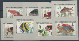 Thematik: Tiere-Fische / Animals-fishes: 1955/2000 (ca.), Holding Of Covers/cards And U/m Material I - Fishes