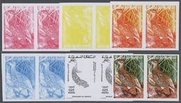 Thematik: Tiere-Hühnervögel / Animals-gallinaceus Birds: 1974, Morocco. Lot Containing Progressive P - Galline & Gallinaceo