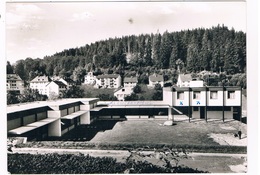 Delcampe - D-9117  TRIBERG : Mariengarten - Triberg