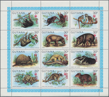 Thematik: Tiere-Säugetiere / Animals-mammals: Ab 1972, More Than 100 Items, Showing Mammals, Mostly - Altri & Non Classificati