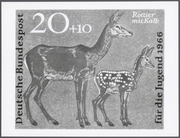 Thematik: Tiere-Schalwild / Animals- Stag,chamois…: 1966, Bundesrepublik Deutschland, Jugendmarken " - Animalez De Caza