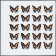Thematik: Tiere-Schmetterlinge / Animals-butterflies: 1979, Rwanda. Progressive Proofs Set For The B - Farfalle