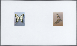 Thematik: Tiere-Schmetterlinge / Animals-butterflies: 1981/1982, Morocco. Composite, Progressive Pro - Schmetterlinge