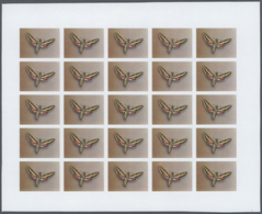 Thematik: Tiere-Schmetterlinge / Animals-butterflies: 1982, Morocco. Progressive Proofs Set Of Sheet - Mariposas