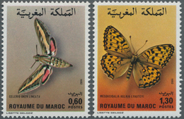 Thematik: Tiere-Schmetterlinge / Animals-butterflies: 1982, MOROCCO: Butterflies Set Of Two 0.60dh. - Butterflies