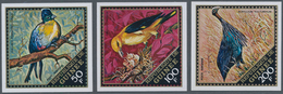 Thematik: Tiere-Vögel / Animals-birds: 1971, GUINEA: Native Birds Complete Set Of Three IMPERFORATE - Sonstige & Ohne Zuordnung