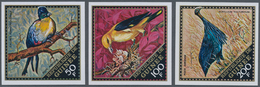 Thematik: Tiere-Vögel / Animals-birds: 1971, GUINEA: Native Birds Complete Set Of Three IMPERFORATE - Sonstige & Ohne Zuordnung