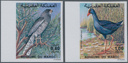 Thematik: Tiere-Vögel / Animals-birds: 1976, MOROCCO: Birds Set Of Two 0.40dh. ‚Melierax Metabates‘ - Sonstige & Ohne Zuordnung