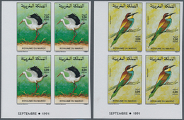 Thematik: Tiere-Vögel / Animals-birds: 1991, MOROCCO: Birds Set Of Two 3.00dh. ‚Ciconia Ciconia‘ And - Sonstige & Ohne Zuordnung