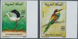 Thematik: Tiere-Vögel / Animals-birds: 1991, MOROCCO: Birds Set Of Two 3.00dh. ‚Ciconia Ciconia‘ And - Sonstige & Ohne Zuordnung