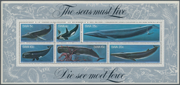 Thematik: Tiere-Meeressäuger (u.a. Wale) / Animals-aquatic Mammals: 1980, SOUTH WEST AFRICA: Whales - Sonstige & Ohne Zuordnung